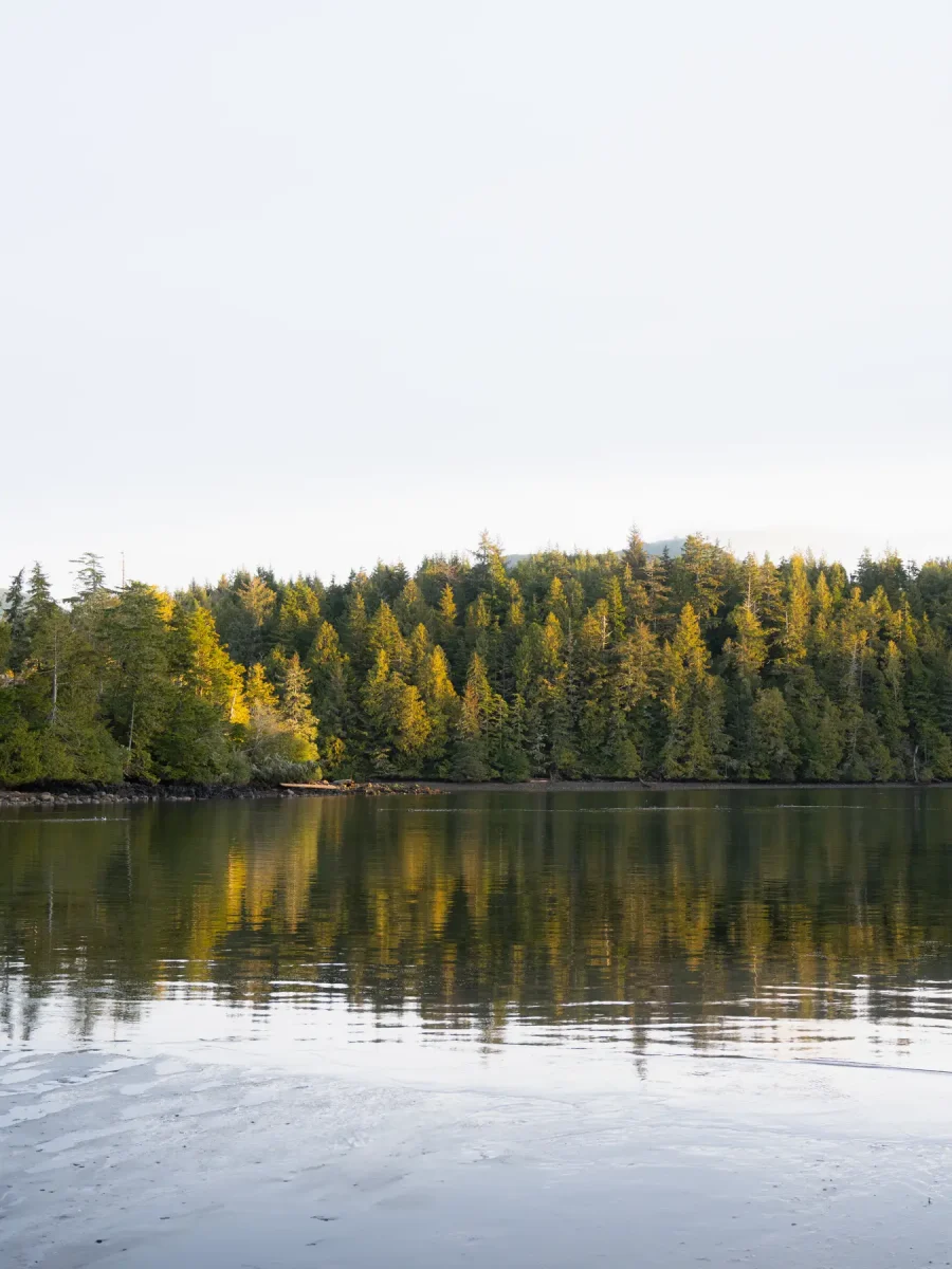 Tranquil inlet mornings