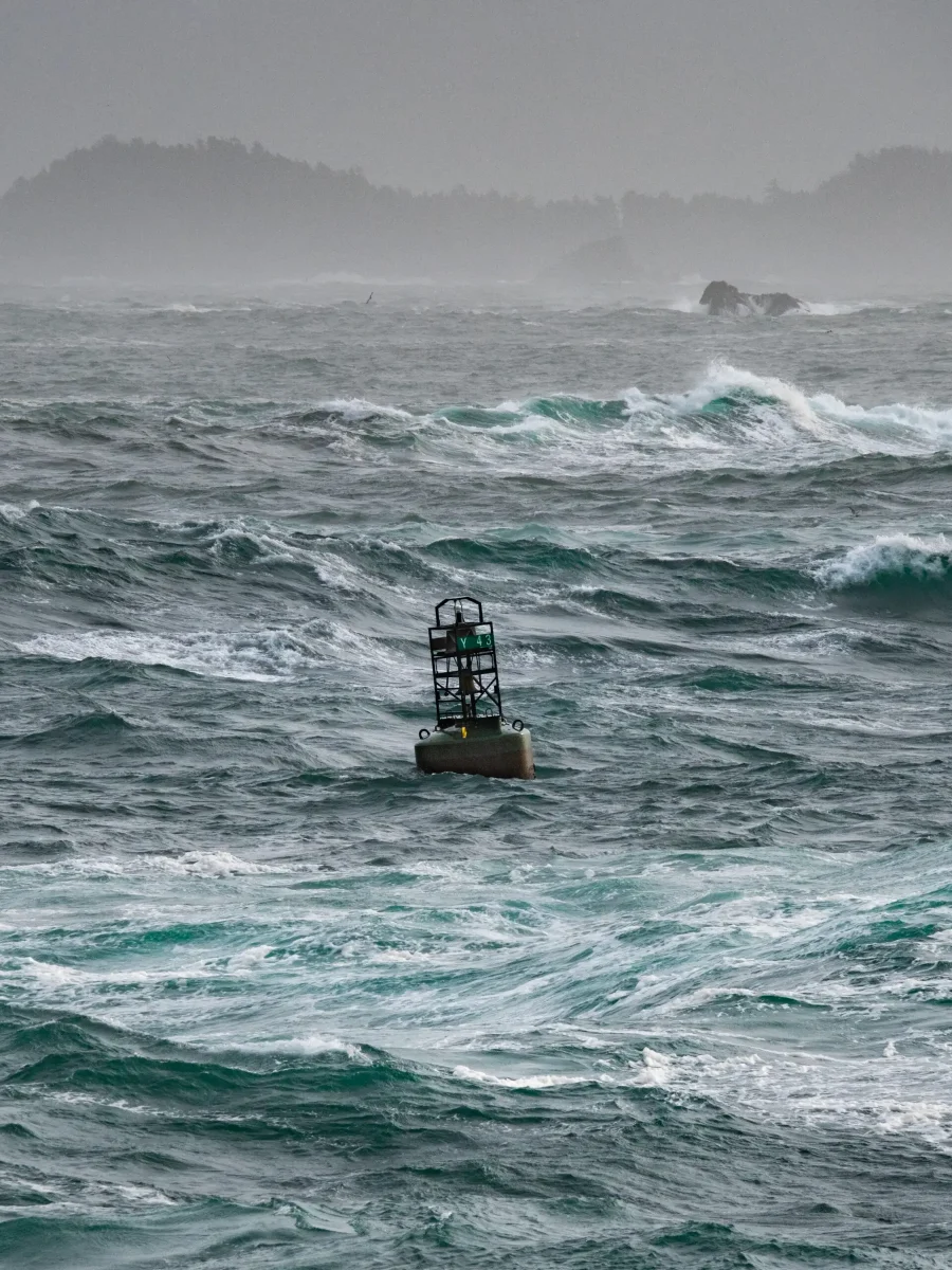 You might hear Buoy Y43 on your visit